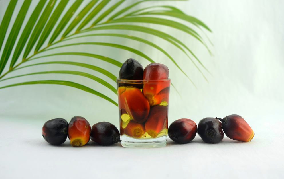 Palmfrüchte im Glas auf weißem Hintergrund, Palmblatt im Hintergrund