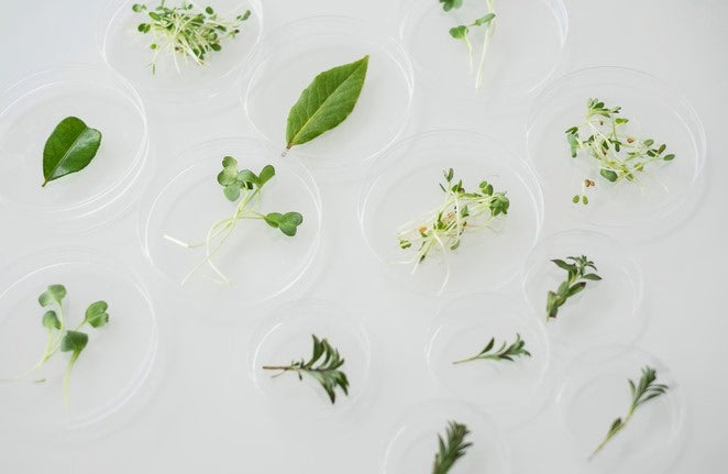 Person im Freien bei sonnigem Wetter, Lifestyle-Motiv.