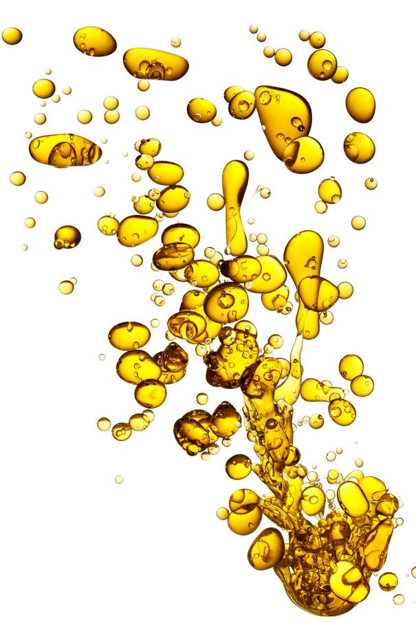 Getty-Image mit Personen in natürlicher Umgebung, Lifestyle-Motiv.