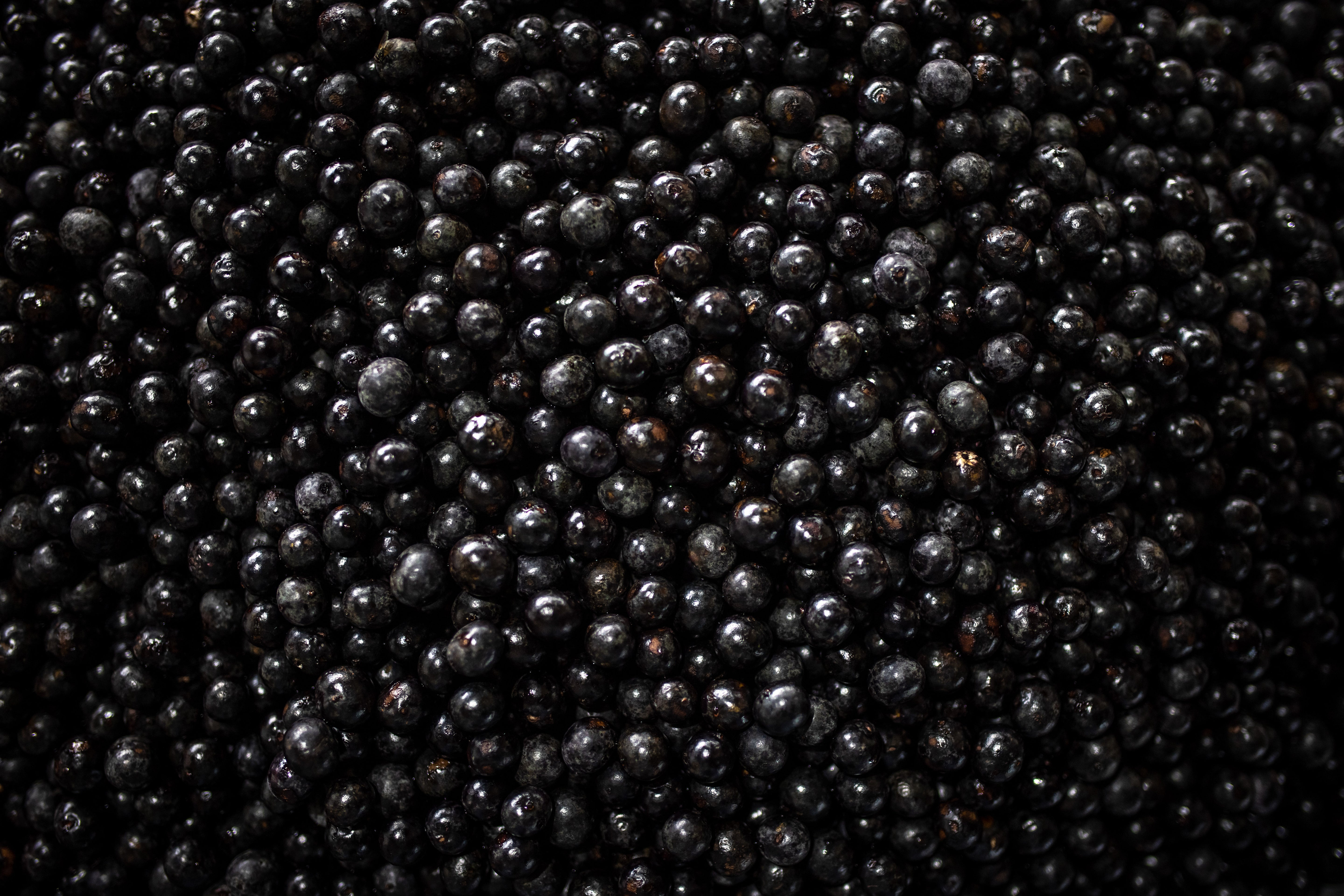 Nahaufnahme von vielen Acai Beeren