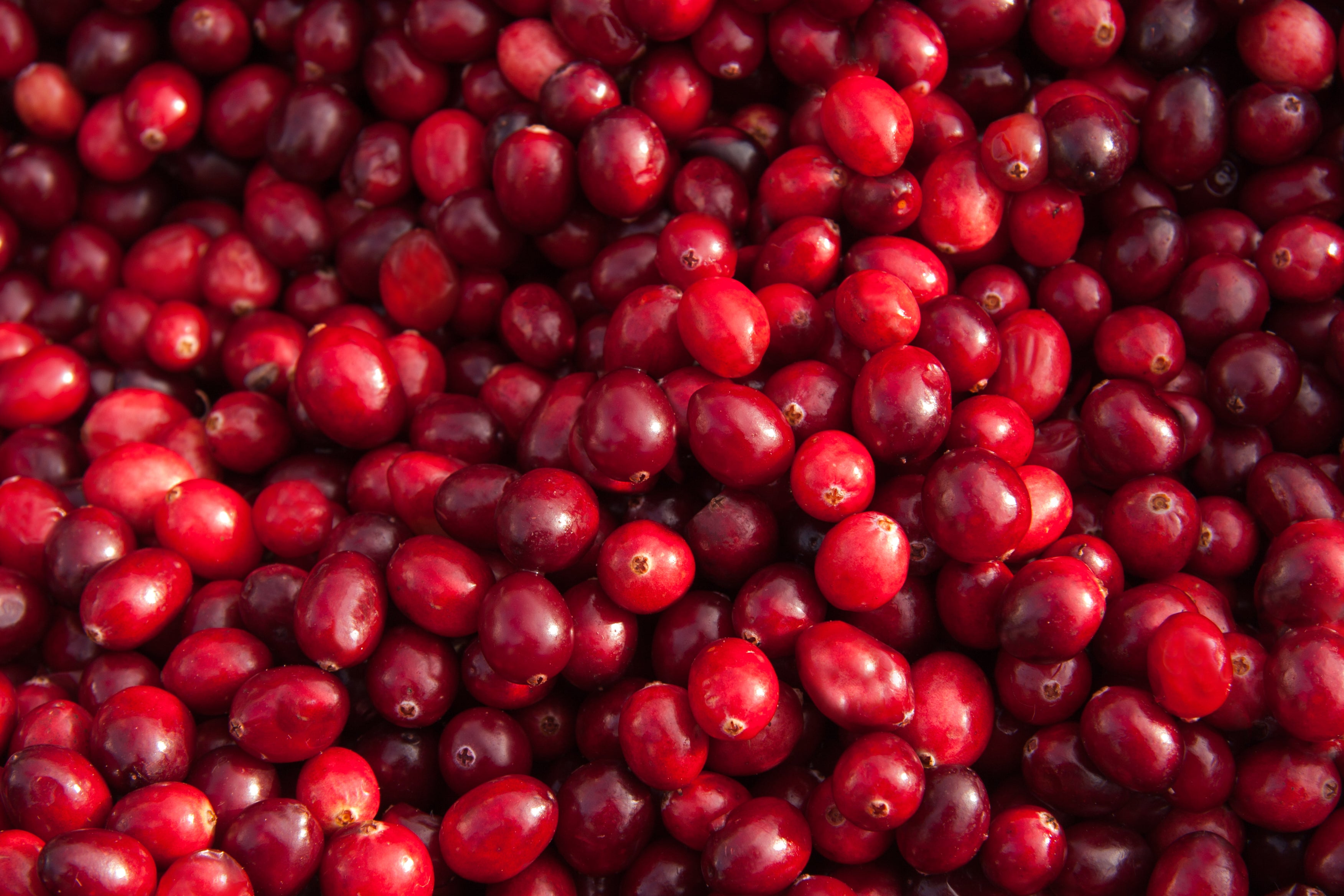 viele Cranberries