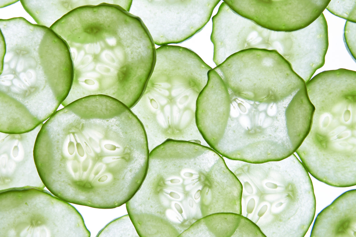 lichtdurchlässige Gurken