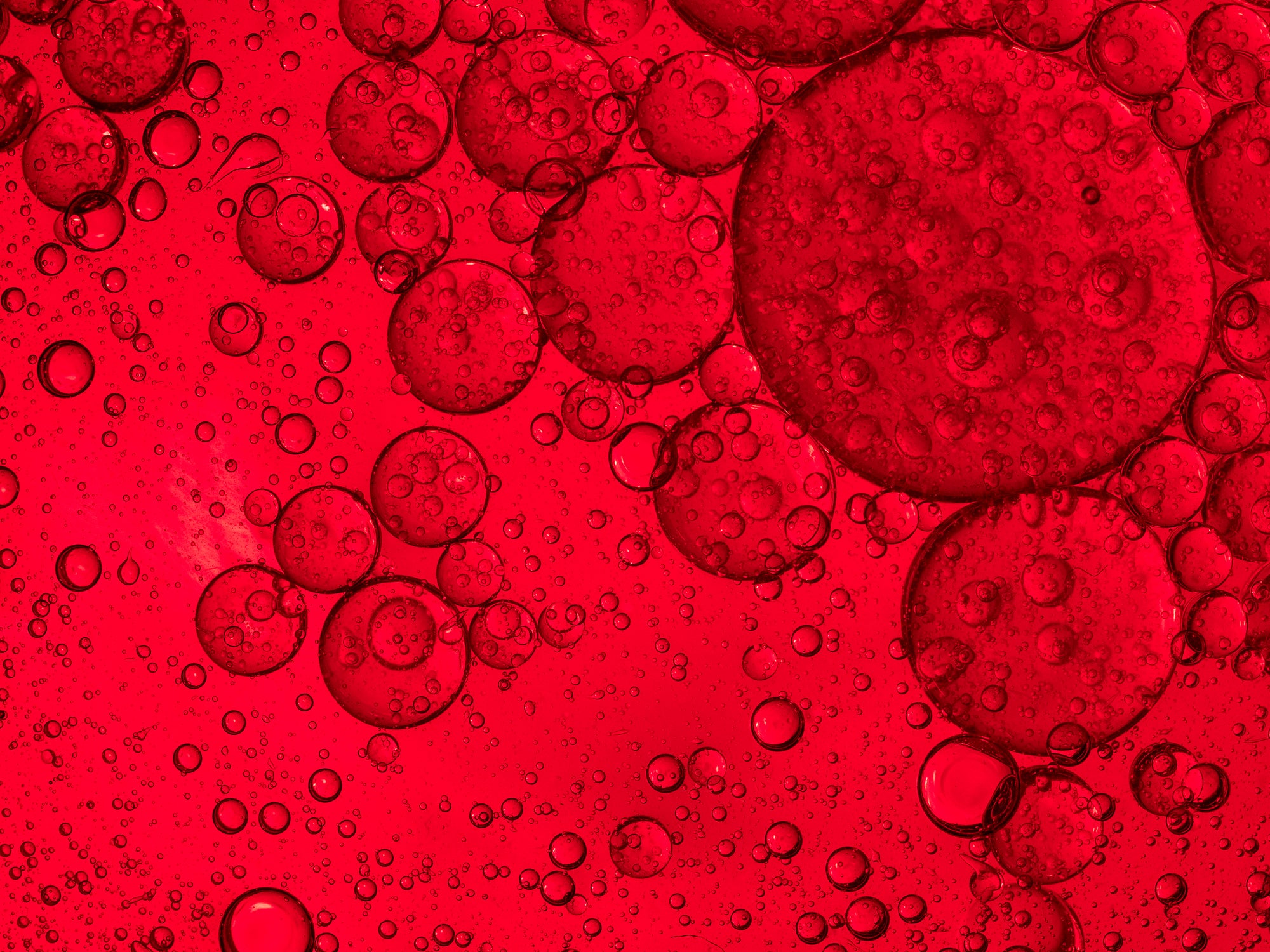 Bubbles in einer roten Flüssigkeit