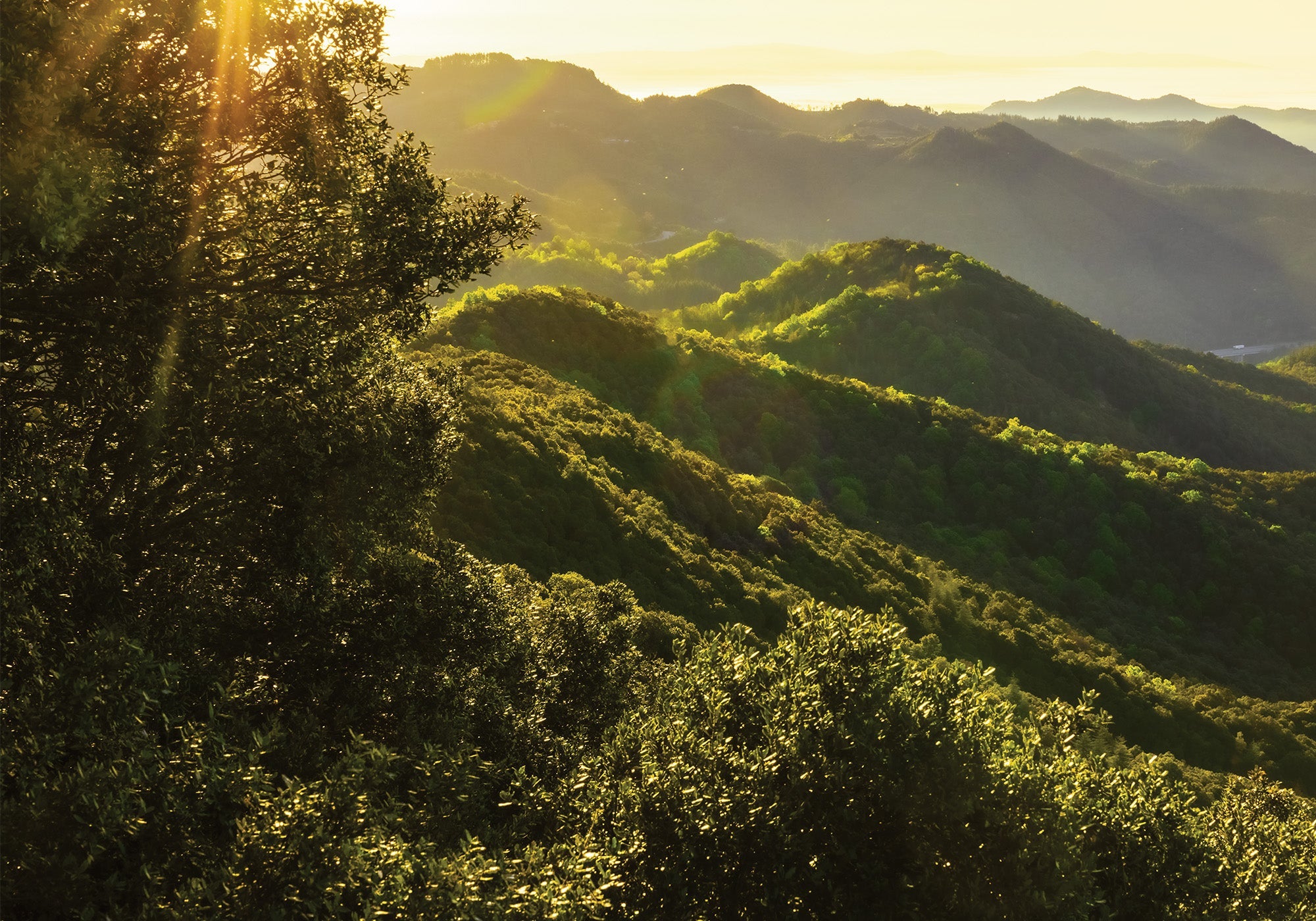 Sonnenstrahlen über grünen Berglandschaften im Abendlicht