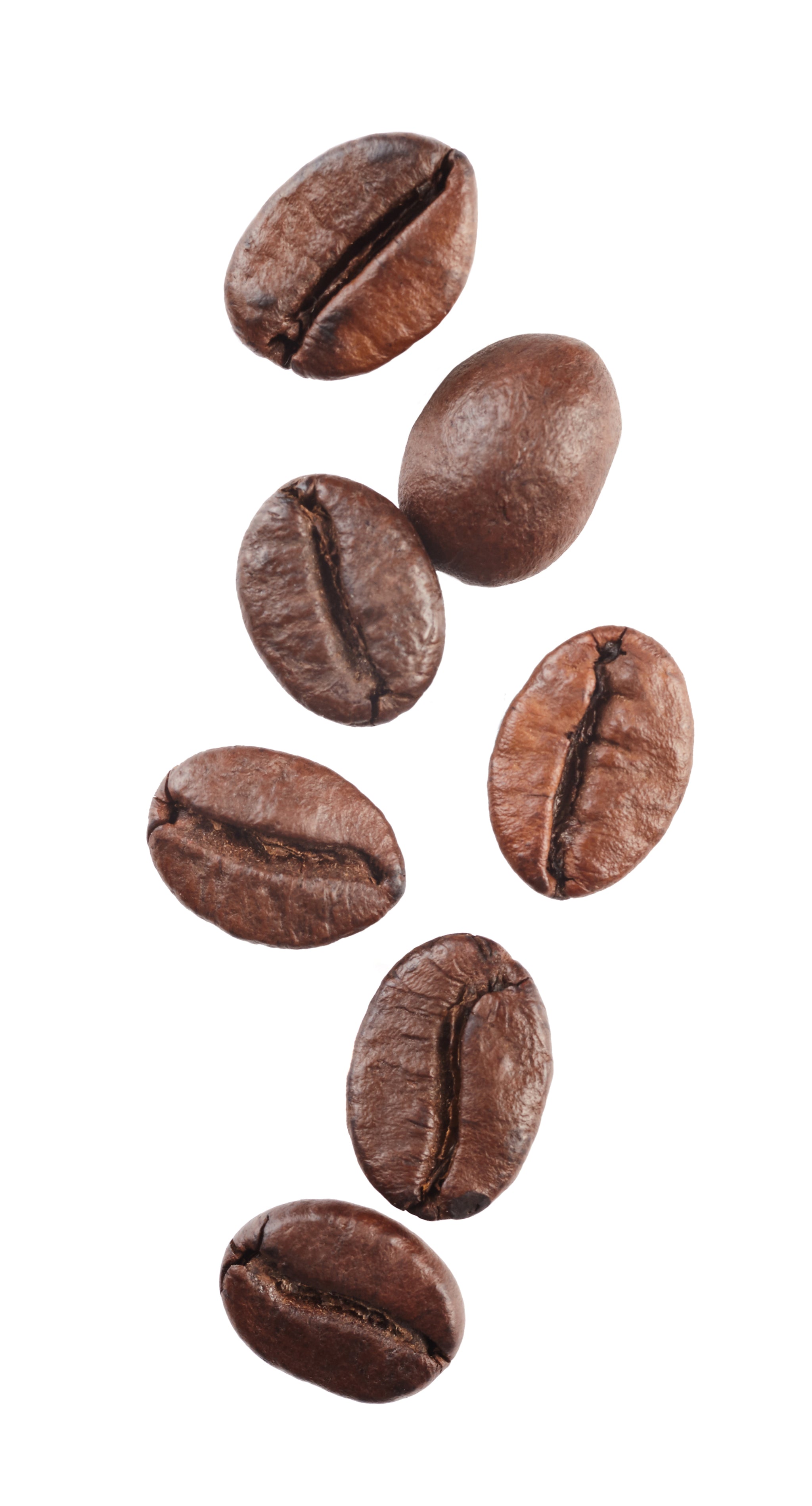 Mehrere braune, geröstete Kaffeebohnen auf weißem Hintergrund, in Nahaufnahme.