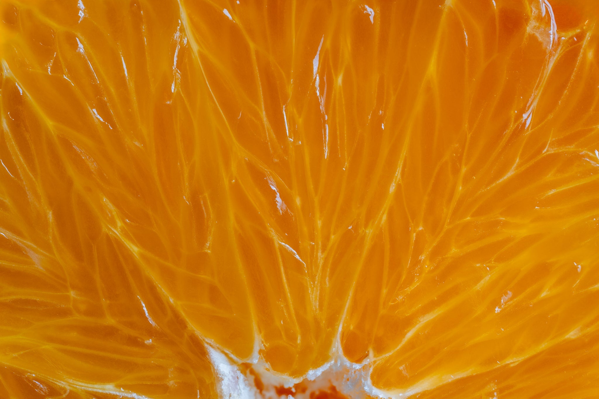 Nahaufnahme des saftigen Fruchtfleisches einer Bio-Orange